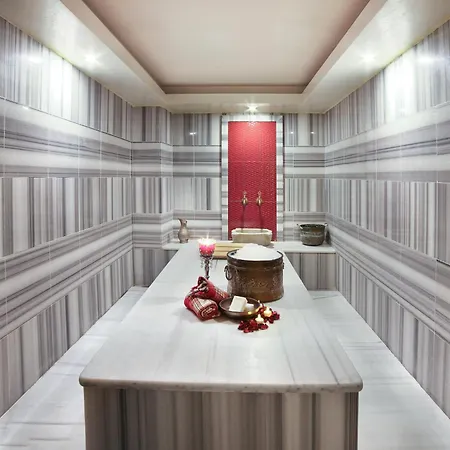 Hotel Great Fortune Concept 4*