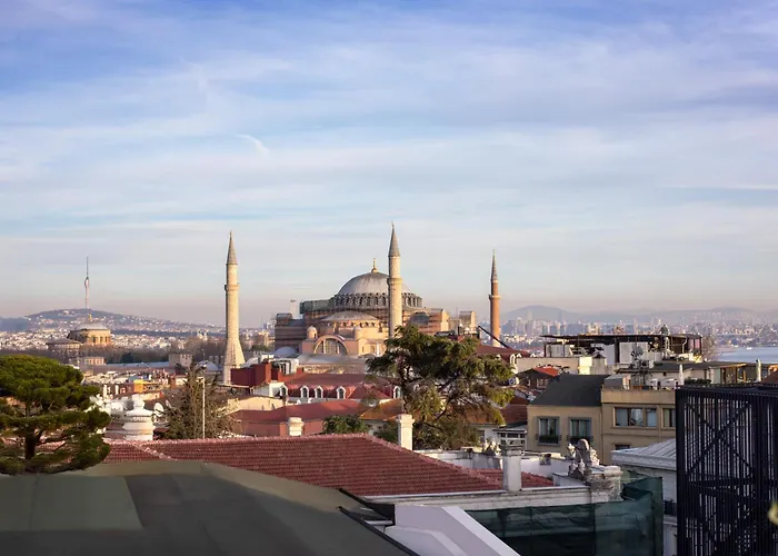 Hotel Great Fortune Concept 4*